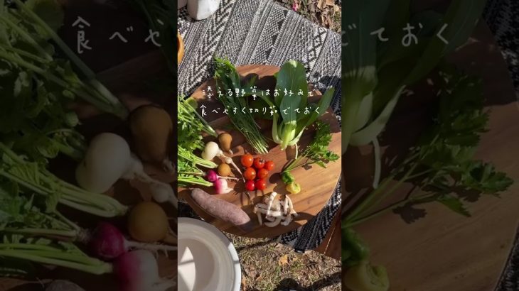 【ルー不要】簡単本格チキンスープカレー！！余った野菜を添えておしゃれ映え♡【キャンプ飯】