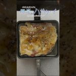 【閃光のハサウェイ】キャンプ飯にも合う説〜鶏もも肉はホットサンドメーカーで焼くと飛ぶぞ #ソロキャンプ #キャンプギア #キャンプ #キャンプ飯