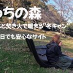 【伊豆】ぼっちの森でキャンプしてみた！おすすめサイトも紹介