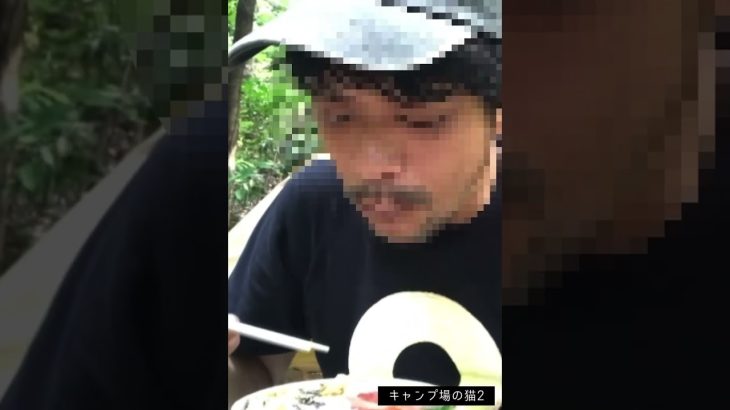 【パロディ】恐怖映像テイストなキャンプ動画（キャンプ場の猫編2） #ソロキャンプ #猫動画 #Shorts【チャンネル登録お願いします】
