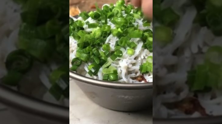 【ソロキャンプ】とあるキャンプの朝食”釜揚げしらす丼” #ソロキャンプ #キャンプ飯 #Shorts【チャンネル登録お願いします】