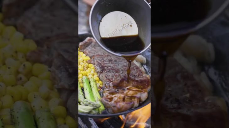 【キャンプ飯】旨すぎた！Wガーリックステーキ🥩 #キャンプ #焚き火 #camping #料理
