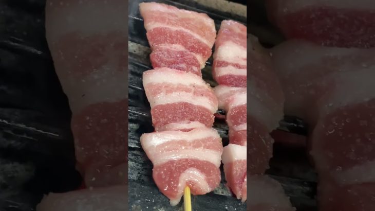 メタボパパの本業《豚バラ》 #飯テロ #キャンプ飯 #焼き鳥 #肉 #めしテロ #asmr #yakitori
