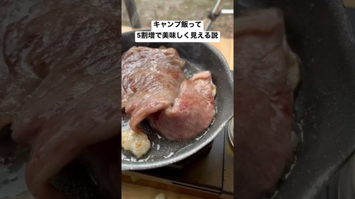 【キャンプ飯】ステーキ、ウィンナー、ブリ大根！ #ソロキャンプ #キャンプ #camp #キャンプ飯#shorts#ステーキ