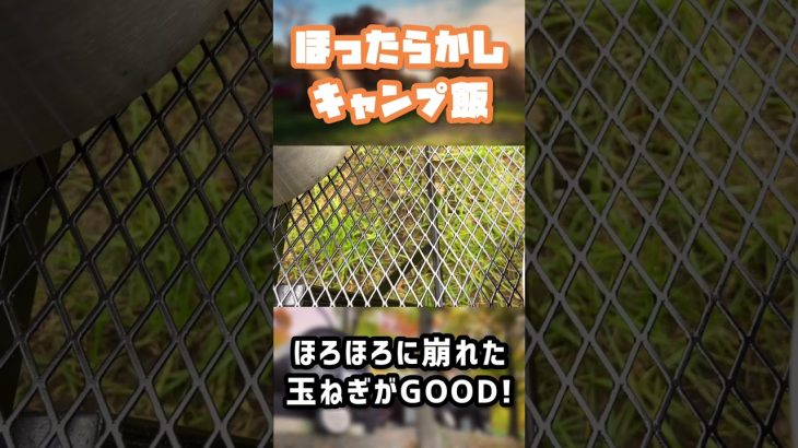 ほったらかしキャンプ飯〜丸ごと玉ねぎスープ〜 #shorts