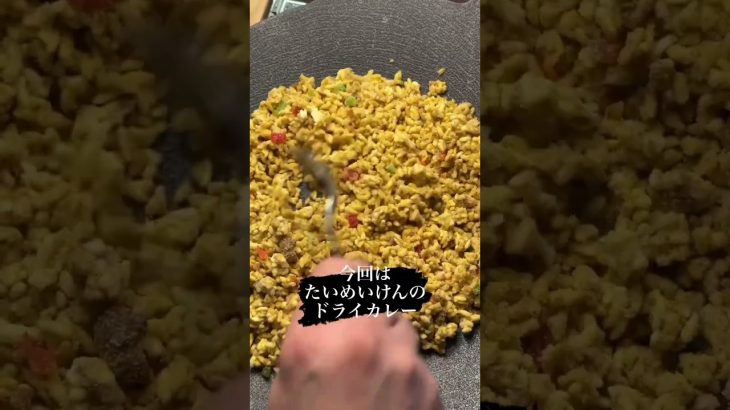 【キャンプ飯】チーズかけドライカレー#shorts