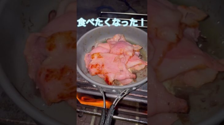【ソロキャンプ】カマンベールチーズとベーコン焼いて見た！