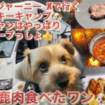 【キャンピングカー】寒中ヨーキーキャンプスープに肉、そしてポッコーンで大盛り上がり