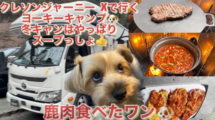 【キャンピングカー】寒中ヨーキーキャンプスープに肉、そしてポッコーンで大盛り上がり