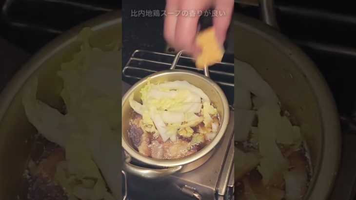 【キャンプ飯】薪ストーブでみぞれ鍋