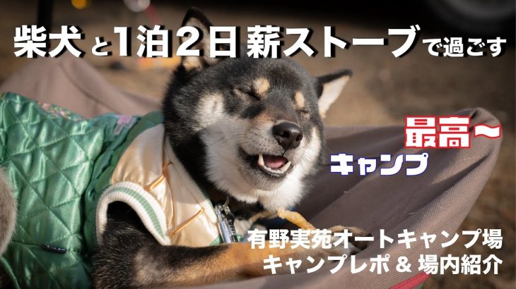 【犬とキャンプ】薪ストーブで犬もごろごろ快適冬キャンプ！【千葉県・有野実苑オートキャンプ場場内紹介＆キャンプレポ】