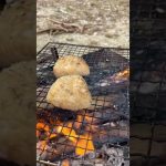 【キャンプ飯】デイキャンプでサイコロステーキ＆焼きおにぎり🍻🤍