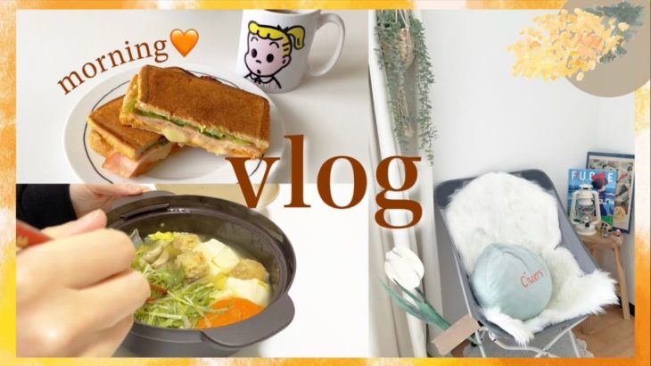 【vlog】朝からホットサンドを作った日🥪お家でキャンプ気分🏕ニトリ購入品/QOL向上💖
