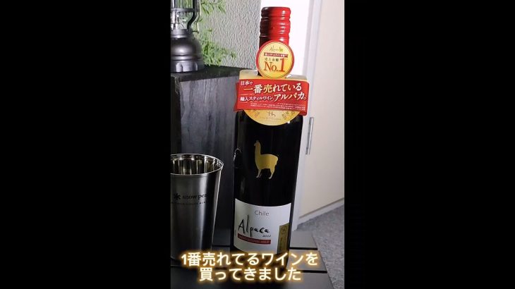 【1番売れてるワインを買ってきました‼️】部屋キャンプ🏕