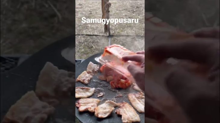 サムギョプサル‼︎No.2#おすすめ #キャンプ #キャンプ飯 #サムギョプサル #shorts #short