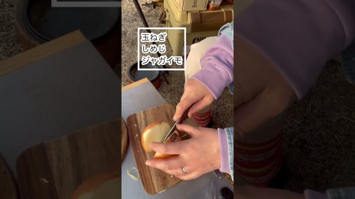 【ミニダッチとトマト煮】簡単キャンプ飯#shorts #レシピ #キャンプ飯