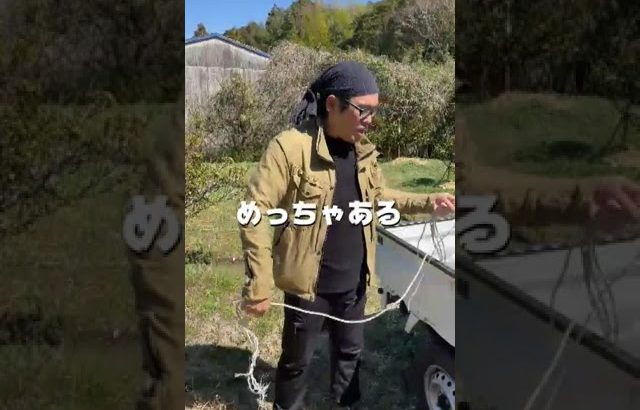 【キャンプのプロに質問してみた】高知県で超おすすめのキャンプ場とは！？『はた☆キャンプ』#shorts