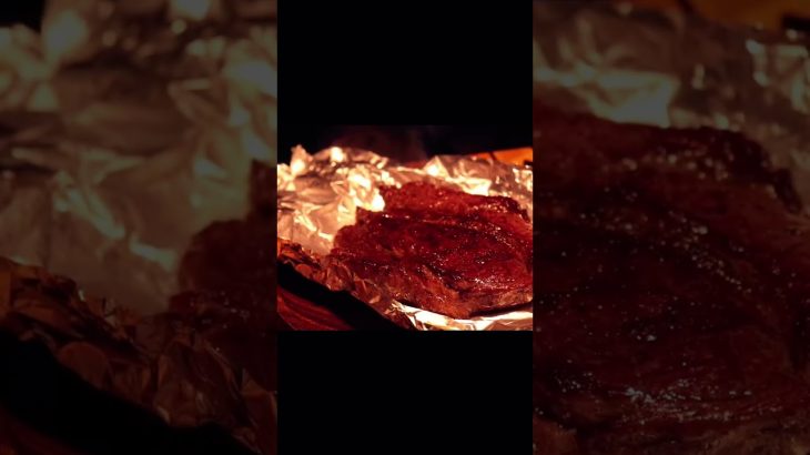 【キャンプ飯】キャンプでも肉汁溢れるステーキ丼を作りたい！