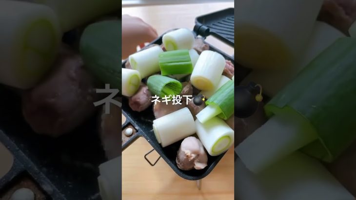 【砂肝ネギ焼き】#キャンプ好きと繋がりたい #ずぼら #キャンプ飯 #ずぼらクック #簡単レシピ #ホットサンドメーカー #ホットサンドレシピ