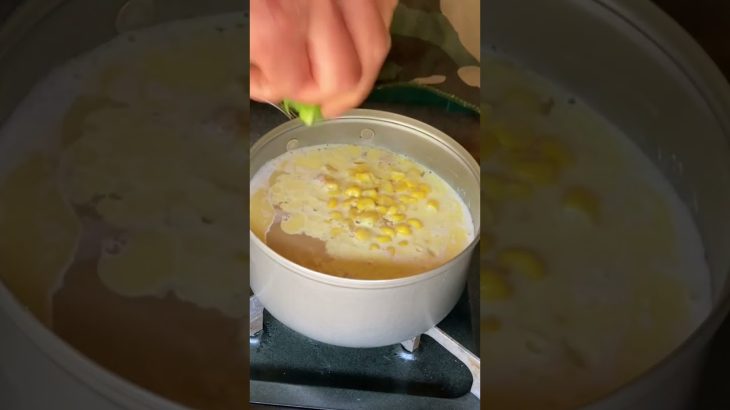 キャンプでひとりご飯 番外編 背徳の塩ラーメン 岐阜県下呂市 奥ノ田ヒルズキャンプ場でソロベース会