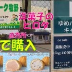 【ゆめパーク牧野キャンプ場】徒歩で『ヒロタのシューアイス』が買えて、成田空港の飛行機が見える『天然芝のキャンプ場』