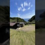 【おすすめキャンプ場】リゾート大島【和歌山】