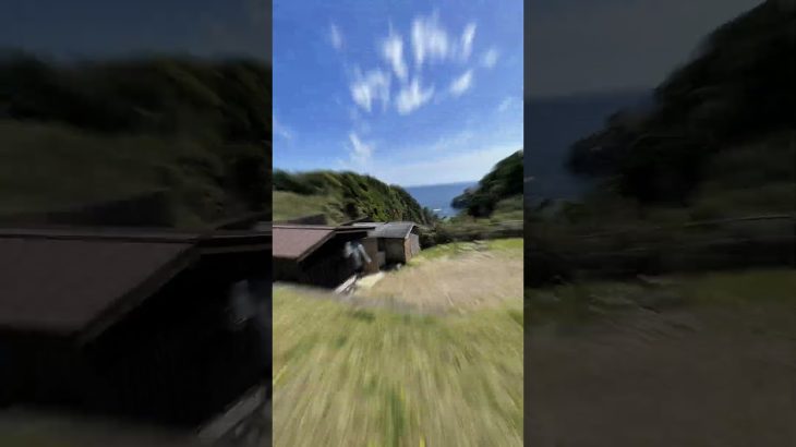 【おすすめキャンプ場】リゾート大島【和歌山】