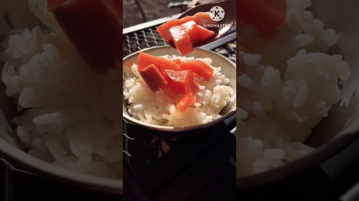 キャンプ　朝ごはん　サーモン茶漬け