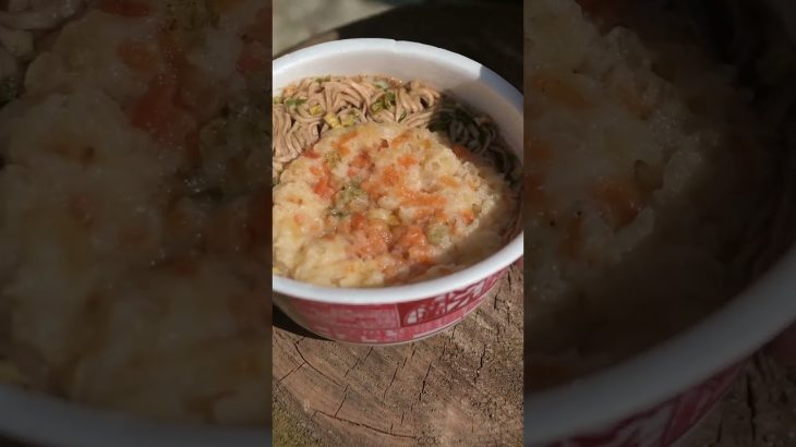 ばえさんの野営飯(ソロキャンプ　野営) 10分どん兵衛とはうどんでやるって事を学んだよ　蕎麦　美味しくない　#キャンプ #cooking #キャンプ飯