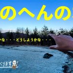 【キャンプ場つくります(第11話)】4サイト完成したんだけど、問題が。意見ください。。。