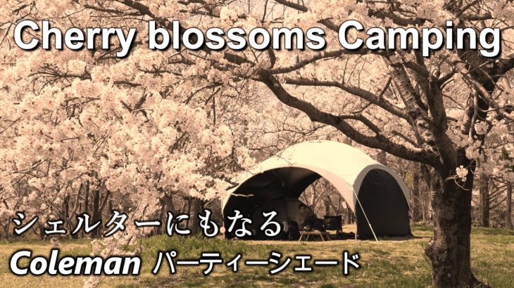 キャンプ 春キャンプ コールマン テント|ファミリーキャンプで人気のキャンプ場 グリーンパーク山東 パーティーシェードライト/360+