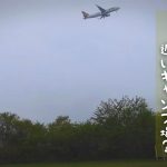 #38【藤ヶ鳴キャンプ場】岡山県岡山市北区菅野🛫友人とデュオcamp