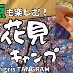 野点も楽しむ！お花見ソロキャンプ〜桜満開♪花の郷 滝谷花しょうぶ園キャンプ場〜OneTigris TANGRAM