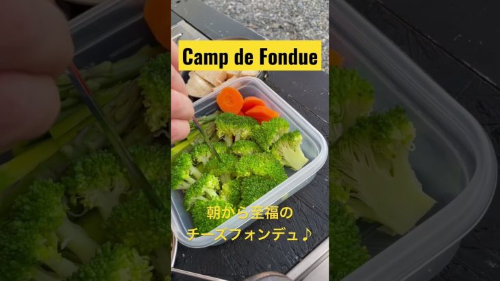 #S15 【キャンプ飯】朝からチーズフォンデュCampDe Fondue #shorts #short #キャンプ飯 #飯テロ #チーズフォンデュ #camp #チーズ #朝食 #outdoors