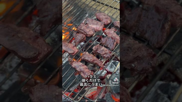 ハラミ焼くだけで最高にうまい #キャンプ #キャンプ飯 #ピコグリル #ハラミ #焼肉 #バーベキュー#簡単レシピ #bbq #塩胡椒　#ほりにし #おつまみ #簡単おつまみ #shrots