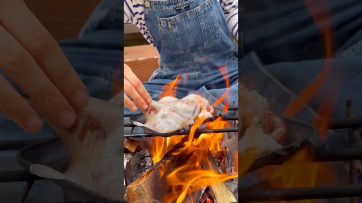 ワタまで食べるイカの姿焼き🦑#キャンプ飯#ソロキャンプ飯#キャンプ #ソロキャンプ#アウトドアキャンプ #camping #焚き火キャンプ飯#みんなのキャンプ #焚き火料理#レシピ#料理