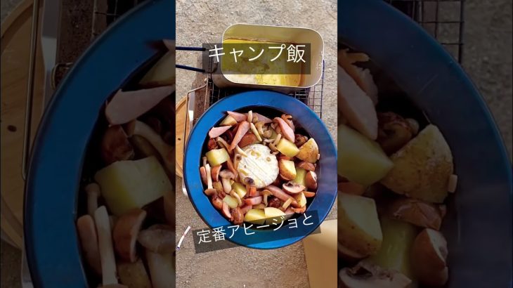 【キャンプで揚げアゲ】カマンベールチーズアヒージョ/唐揚げポテト/メスティン/フライパンジュウ/飯テロ #camping