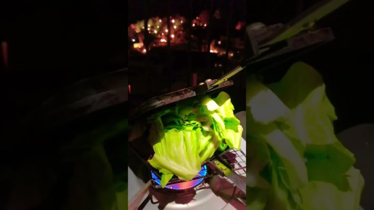 今日のおつまみ☆春きゃべつケーちゃん🐓chicken&cabbage  #キャンプ飯 #簡単レシピ #camping #車中泊