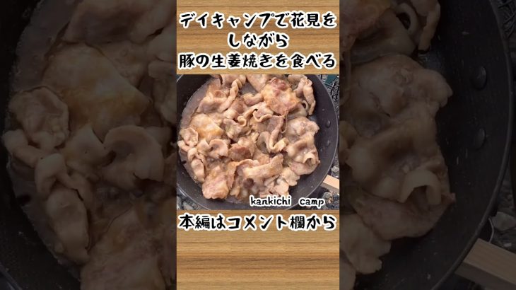 デイキャンプで花見をしながらダイソーのマイクロストーブを使って豚の生姜焼きを食べる🤤#shorts