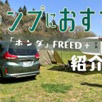 キャンプにおすすめ「ホンダフリード+」紹介！