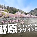 絶景！桜が満開！！神奈川キャンプ場　青野原オートキャンプ場サイト紹介