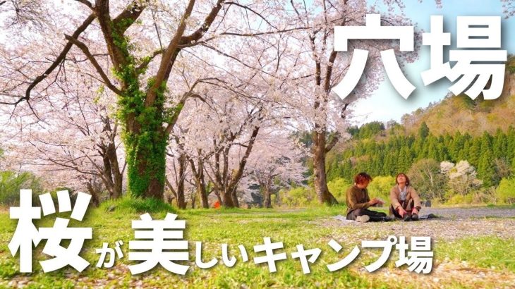 【キャンプ場紹介】オススメ！お花見を満喫できる無料キャンプ場！/麒麟山公園/阿賀町