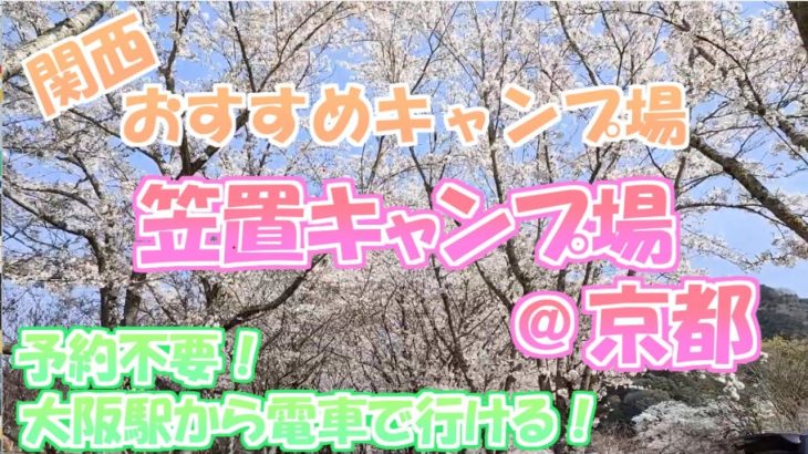 桜満開の笠置キャンプ場でソロキャンプ🌸