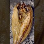 炭火でキャンプ飯【北海道キャンプ】