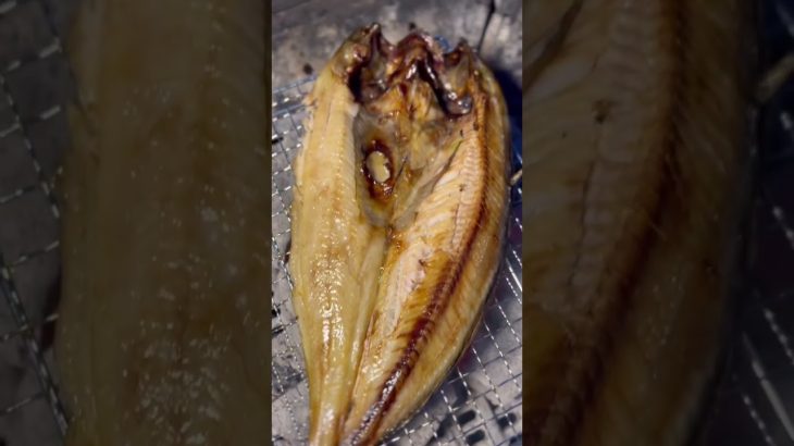 炭火でキャンプ飯【北海道キャンプ】