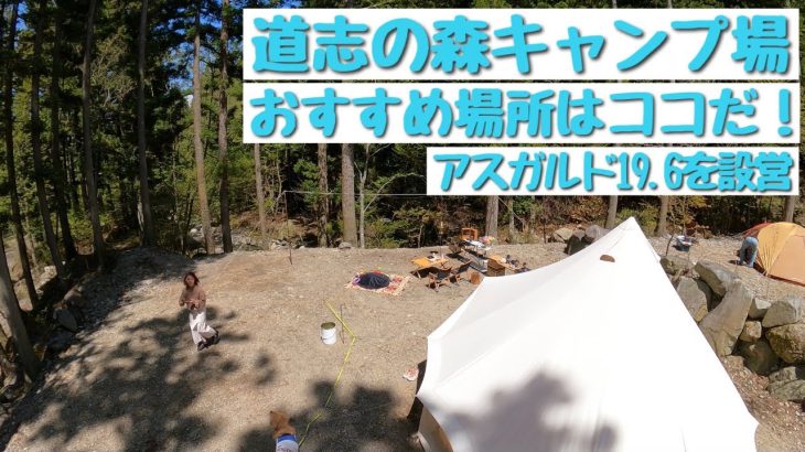 #59 初めての道志の森キャンプ場！色々キャンプ場を回った結果、おすすめ場所はココだ！わんちゃんと行くキャンプ
