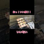 ポンコツサラリーマン　カーサイドタープでちまちま焼き鳥DAYキャンプ　#キャプテンスタッグ　#おすすめ    #焚き火　#エブリィ　#新潟県