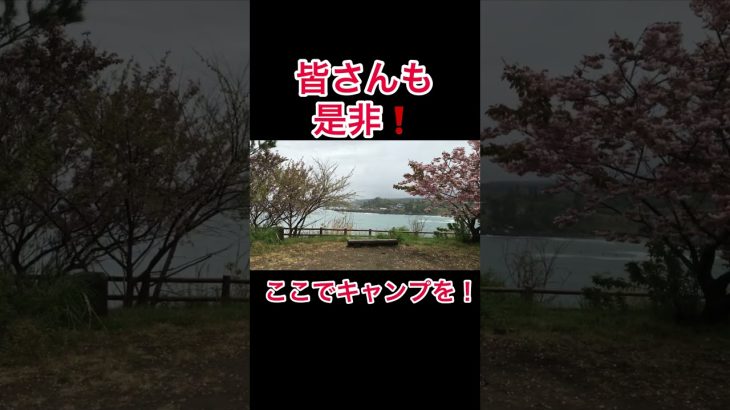 本当に秋田いいとこ②激安絶景キャンプ場　近所にあったら毎週お世話になります！　#おすすめ    #キャンプ　#shorts    #ポンコツサラリーマン