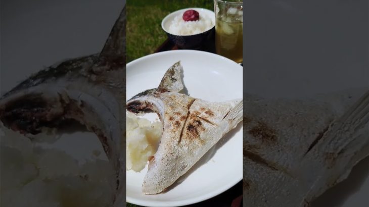 #shorts #short #炭火焼 #簡単レシピ #おつまみ #晩酌 #キャンプ#魚料理#お酒に合う