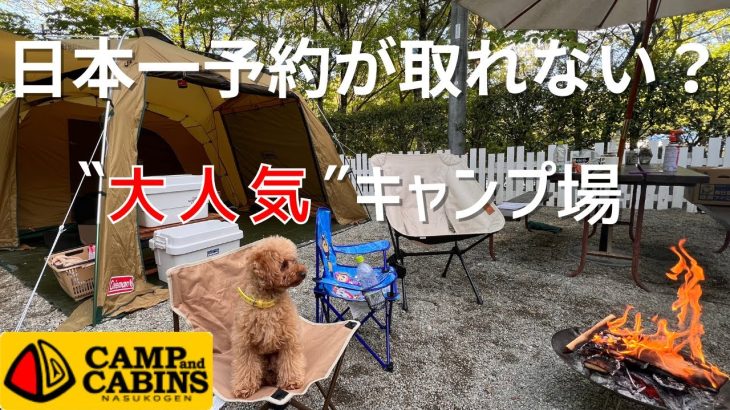【キャンプアンドキャビンズ那須高原】予約困難！家族連れにおすすめのキャンプ場‼️